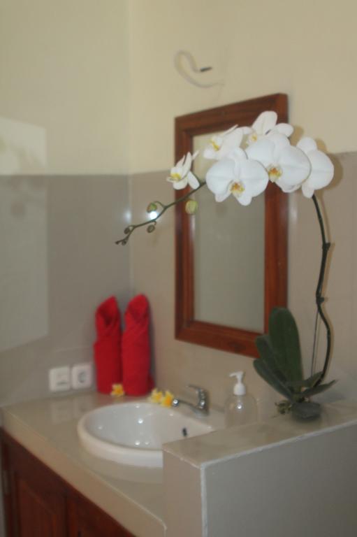 Amed Kunara Guest House Exterior photo